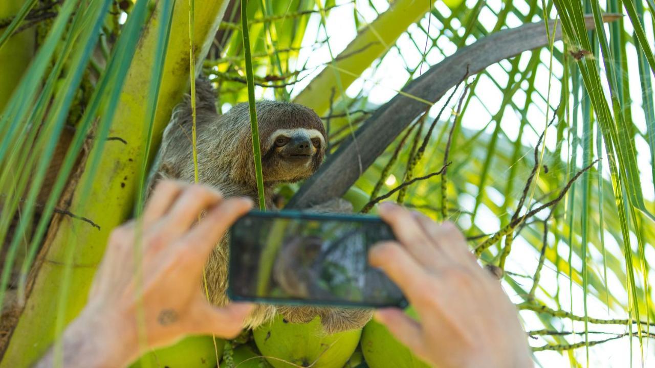 Pacaya Samiria Amazon Lodge Nauta Buitenkant foto